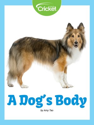 cover image of A Dog's Body